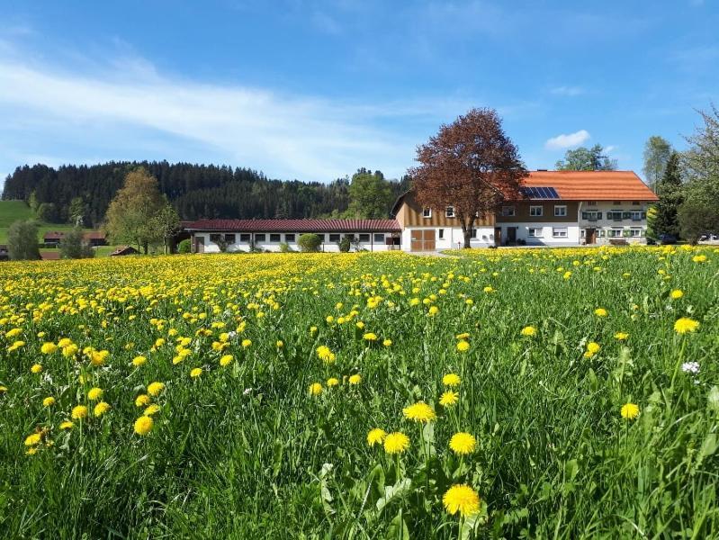 Ferienhaus Rasch Maierhöfen Екстериор снимка